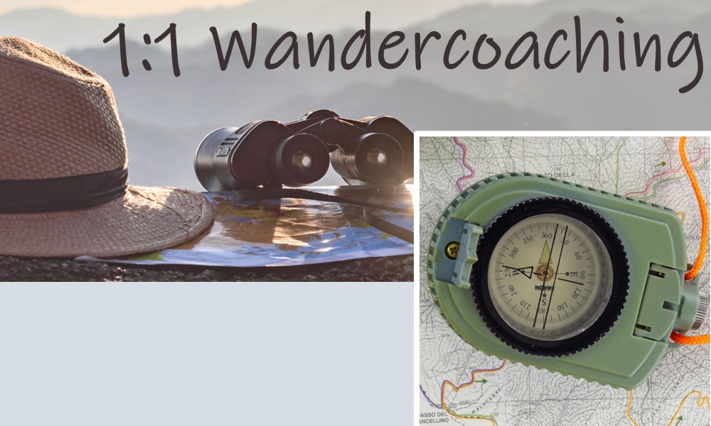 pic_wandercoaching